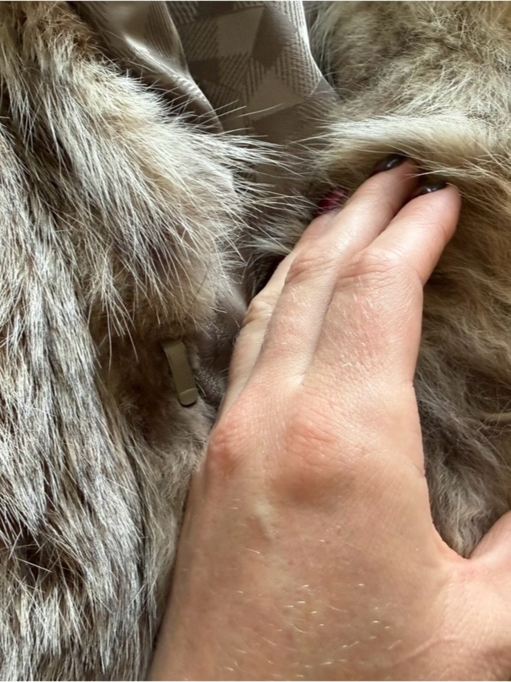 Women's Long Genuine RARE Canadian Lynx Fur Coat - Tan - Picture 8 of 8